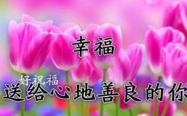 花坛作文300字(整理5篇) 